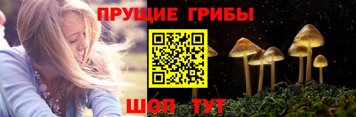 Галлюциногенные грибы прущие грибы Елабуга